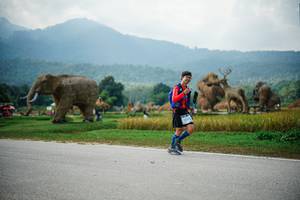 BIB: 
                            <button type="button" onclick="openModal(22435791)" class="btn btn-primary btn-sm float-right btn-popup" data-toggle="modal" data-target=".modal-high-quality">
                        <i class="fas fa-shopping-cart"></i> Add to Cart
                    </button>
                                            <button type="button" onclick="isThisMe(22435791, true)" class="btn btn-success btn-sm float-right btn-popup btn-isme hidden" data-toggle="tooltip" data-placement="bottom" title="นี่คือรูปของคุณใช่ไหม คลิกที่นี่เพื่อเอาเข้าอัลบั้ม">
                        <i class="fas fa-plus"></i> Add to album
                    </button>
                    <button type="button" onclick="isThisMe(22435791, false)" class="btn btn-warning btn-sm float-right btn-popup btn-isnotme hidden">
                        <i class="fas fa-ban"></i> Remove from album
                    </button>